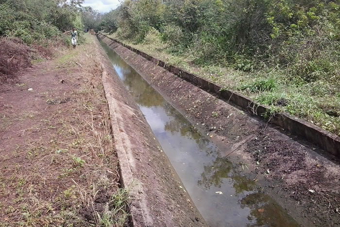 Cohidro e irrigantes limpam 6 km de canais de irrigação em Canindé