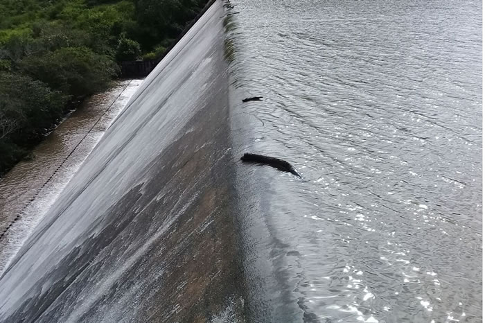 Chuvas garantem normalidade nos perímetros de irrigação do Estado