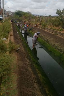 A limpeza e recuperacao de planas no C-01 e feita para preparar o canal para a cobertura