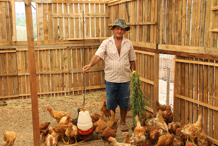 Surge produção de carne e ovos caipiras na Irrigação Pública de Canindé
