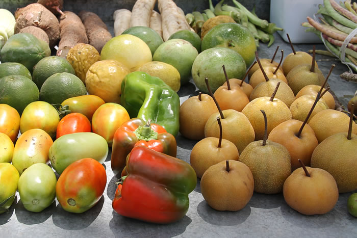 Novo recorde: Irrigação Pública Estadual colheu 119 mil ton/ano em Sergipe