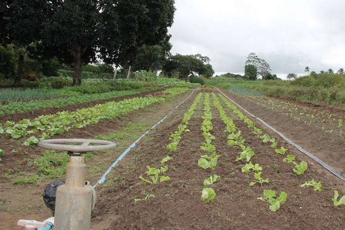 Assistidos pela Cohidro poderão receber assistência técnica e gerencial rural
