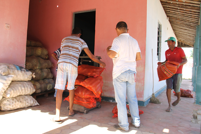 PAA: irrigação pública estadual produzirá alimentos para doar a 24 mil pessoas carentes em 2016