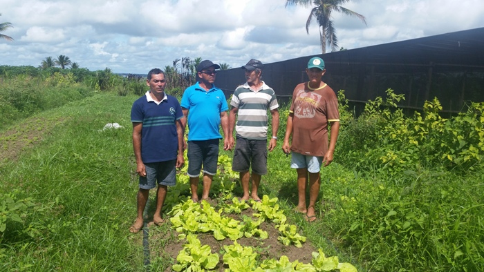 Na Semana dos Orgânicos, irrigantes da Cohidro dão exemplo em Lagarto