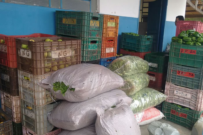 Reunião no Califórnia define projetos do PAA para 2018