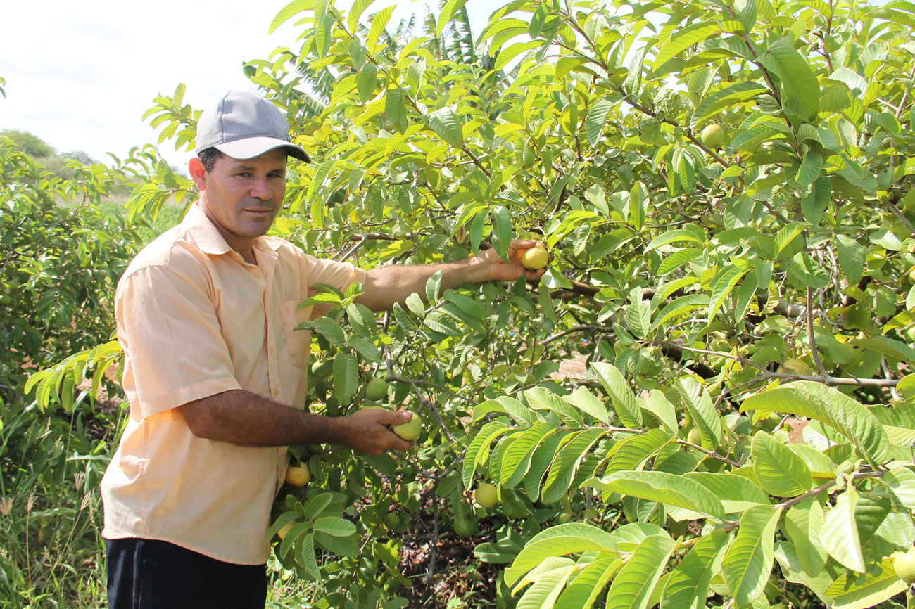 Perfil: Sidrack, mãos de agricultor e alma de empreendedor