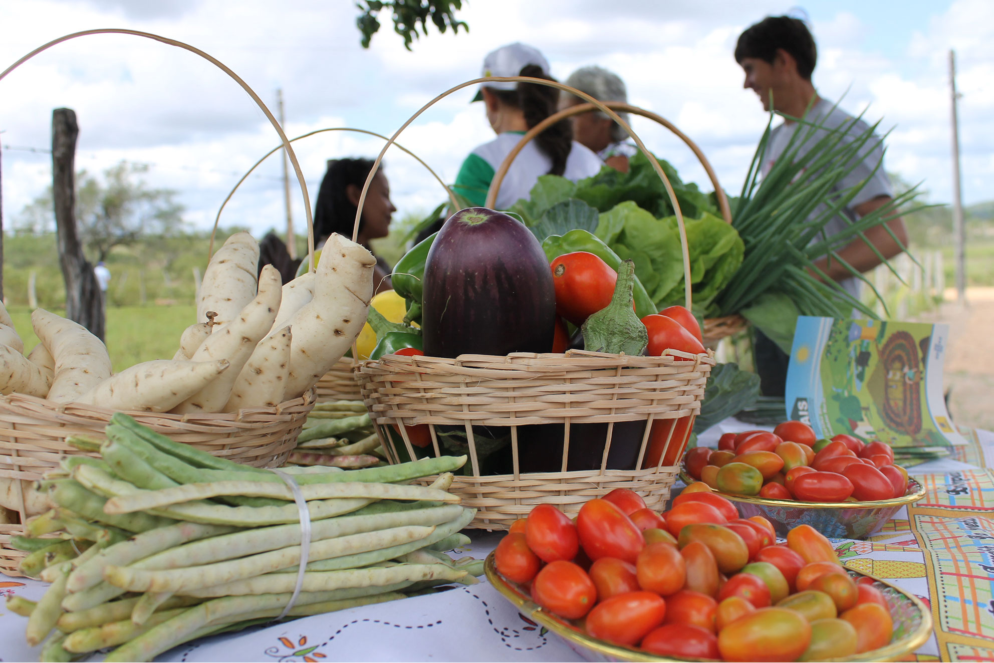 Cohidro participa da 45ª Festa da Laranja em Boquim