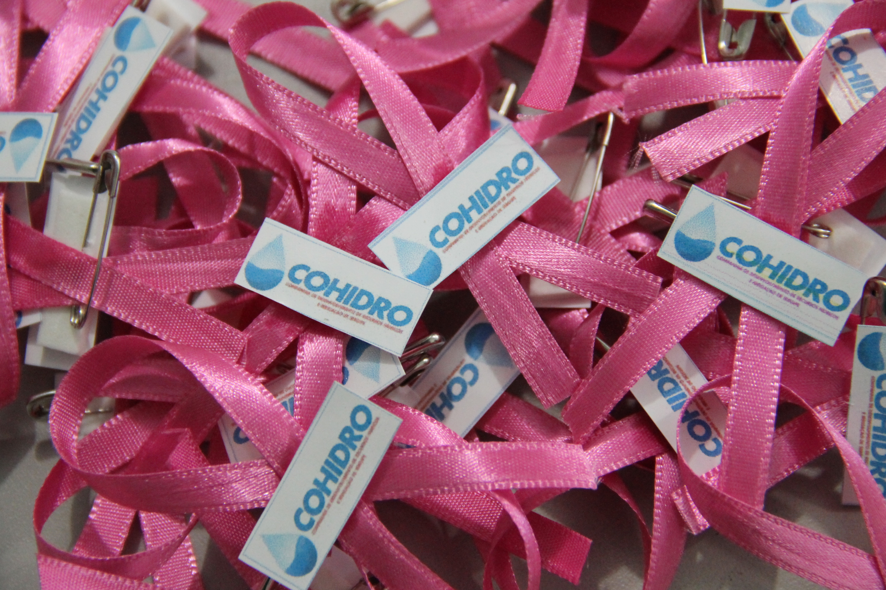Campanha Outubro Rosa é laçada na Cohidro