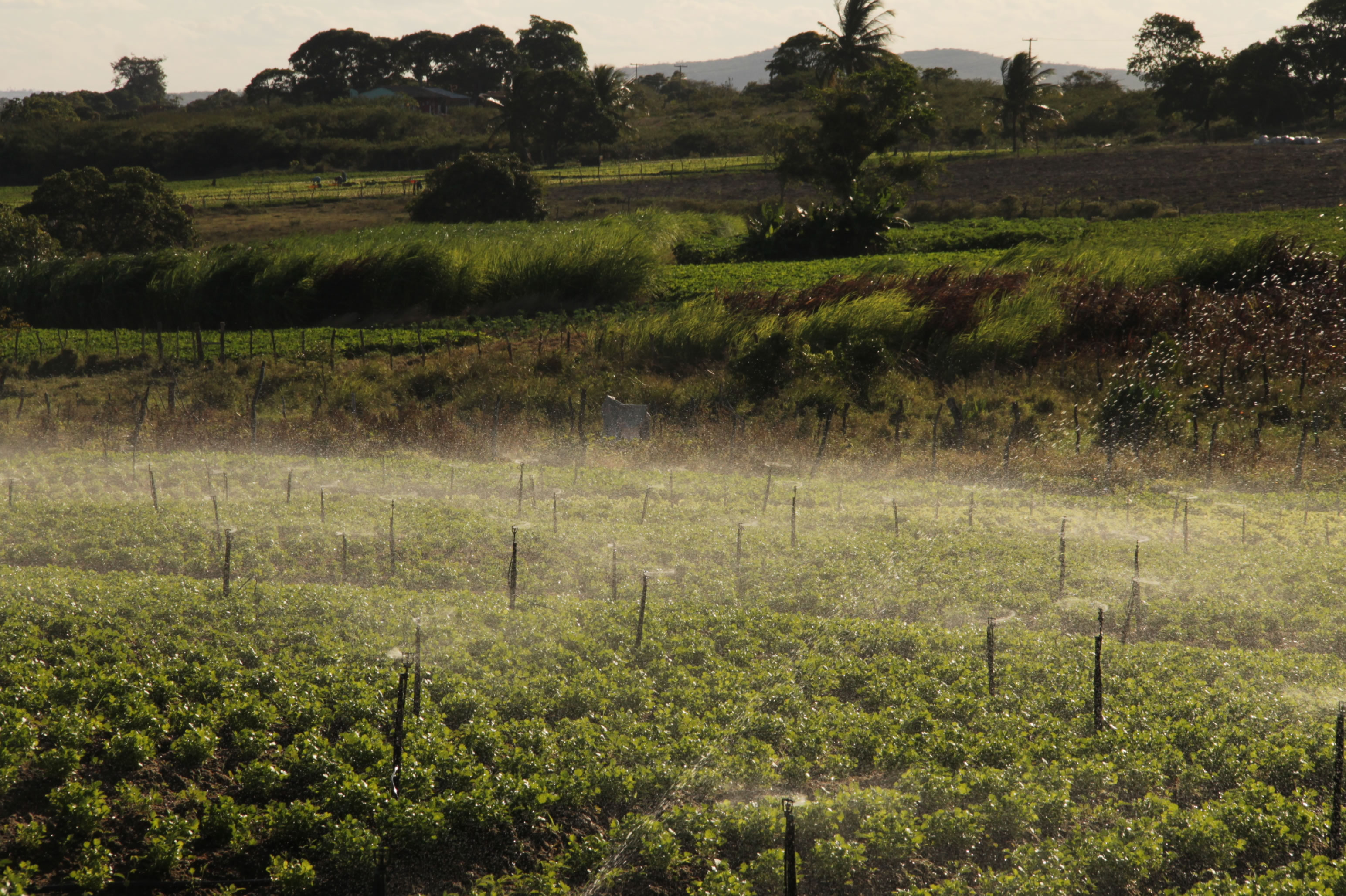 Cohidro restabelece capacidade operacional de perímetro de Itabaiana