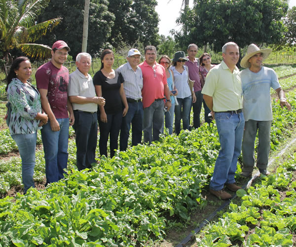 Comissão de Orgânicos e Seides visitam perímetro da Cohidro em Lagarto