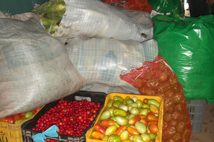 Cohidro supera 2 mil toneladas de alimentos doados pelo Frutos da Terra