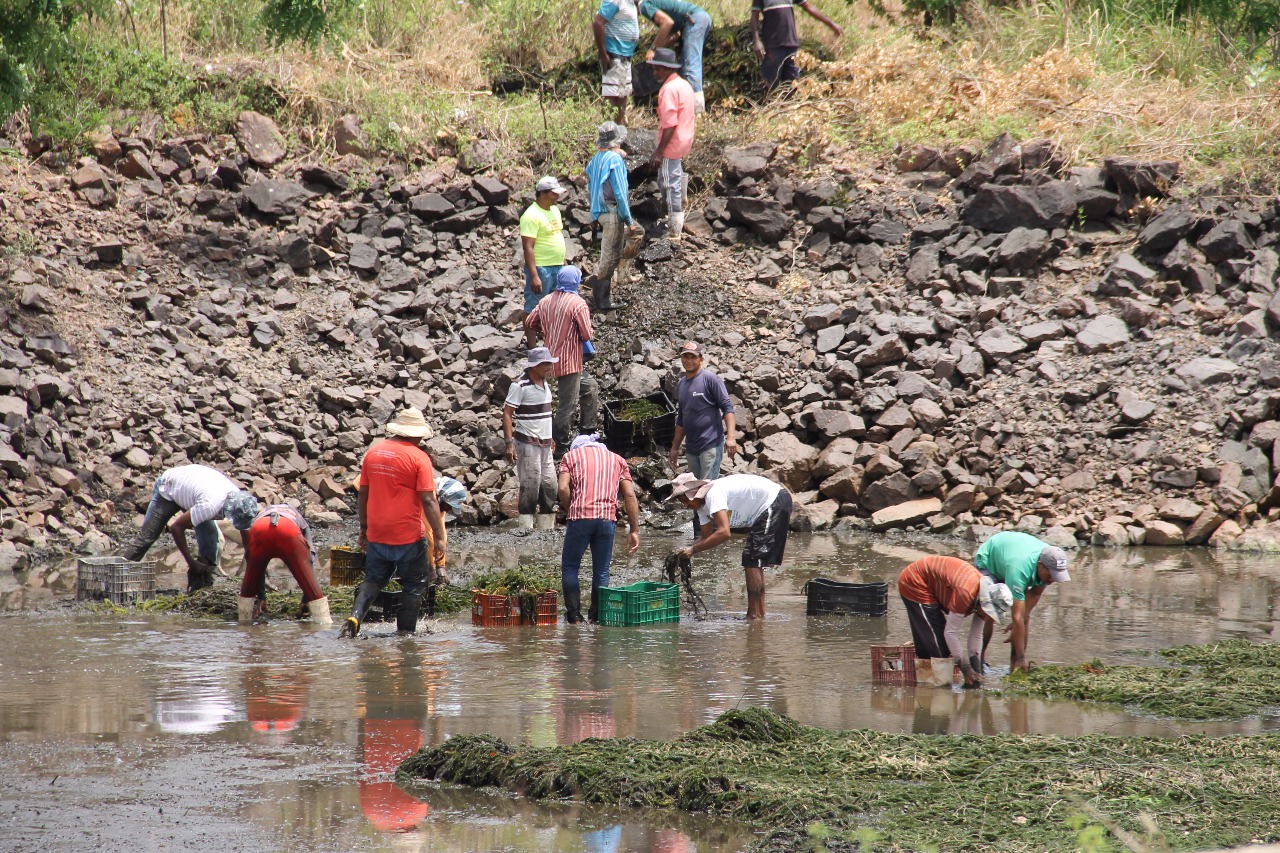 Mutirão de limpeza e reparos nas EBs do Califórnia
