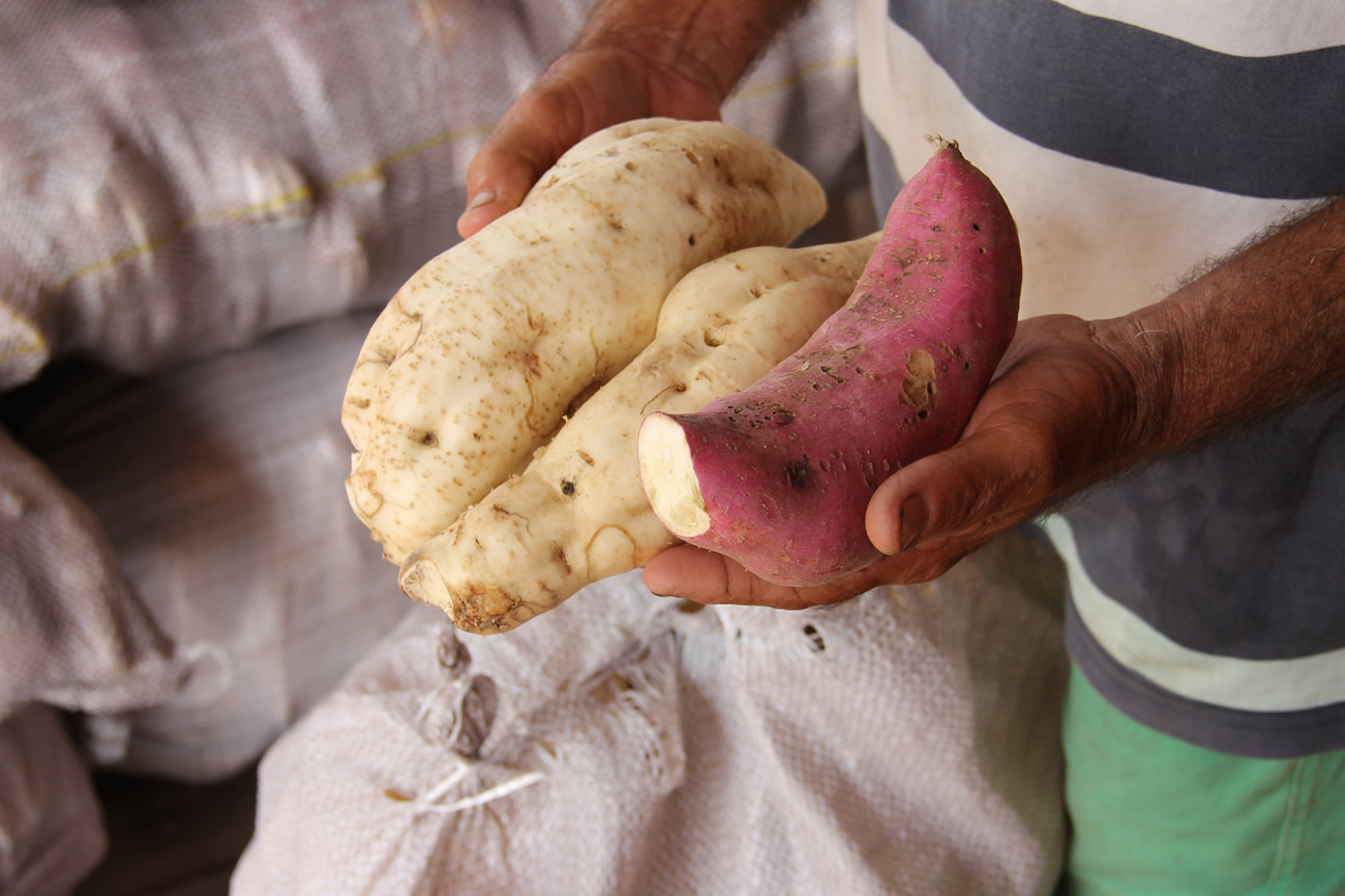 Primeira entrega de alimentos pelo PAA em 2018