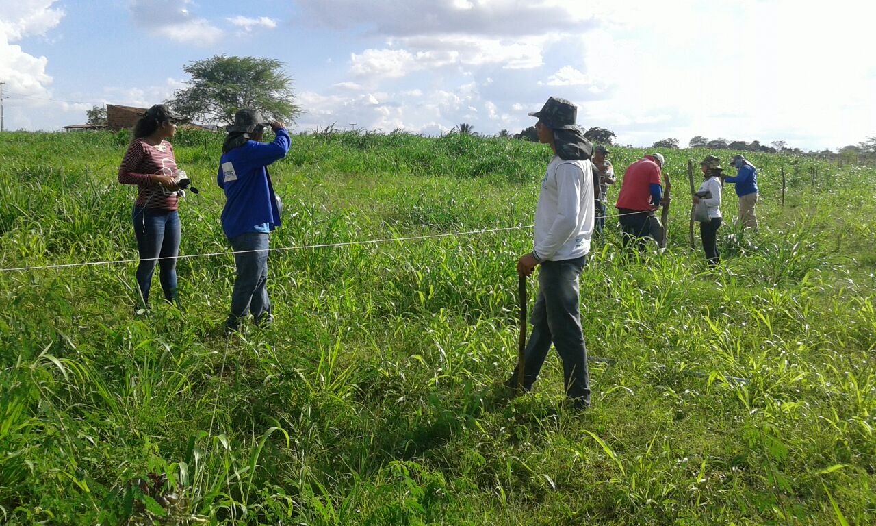 Reunião e prática de campo aceleram implantação do Balde Cheio em Canindé