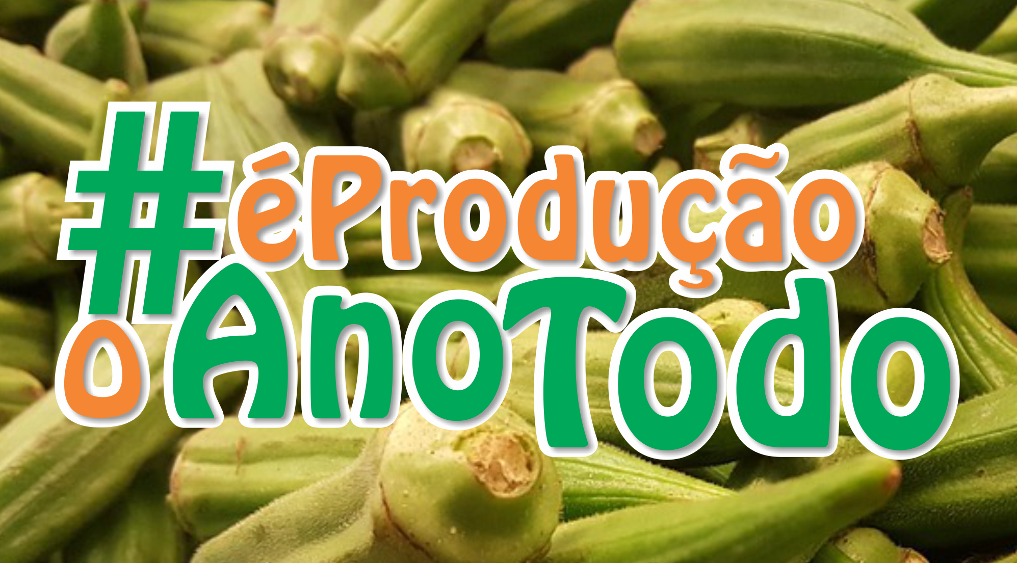 Quiabo fertirrigado no Perímetro Piauí