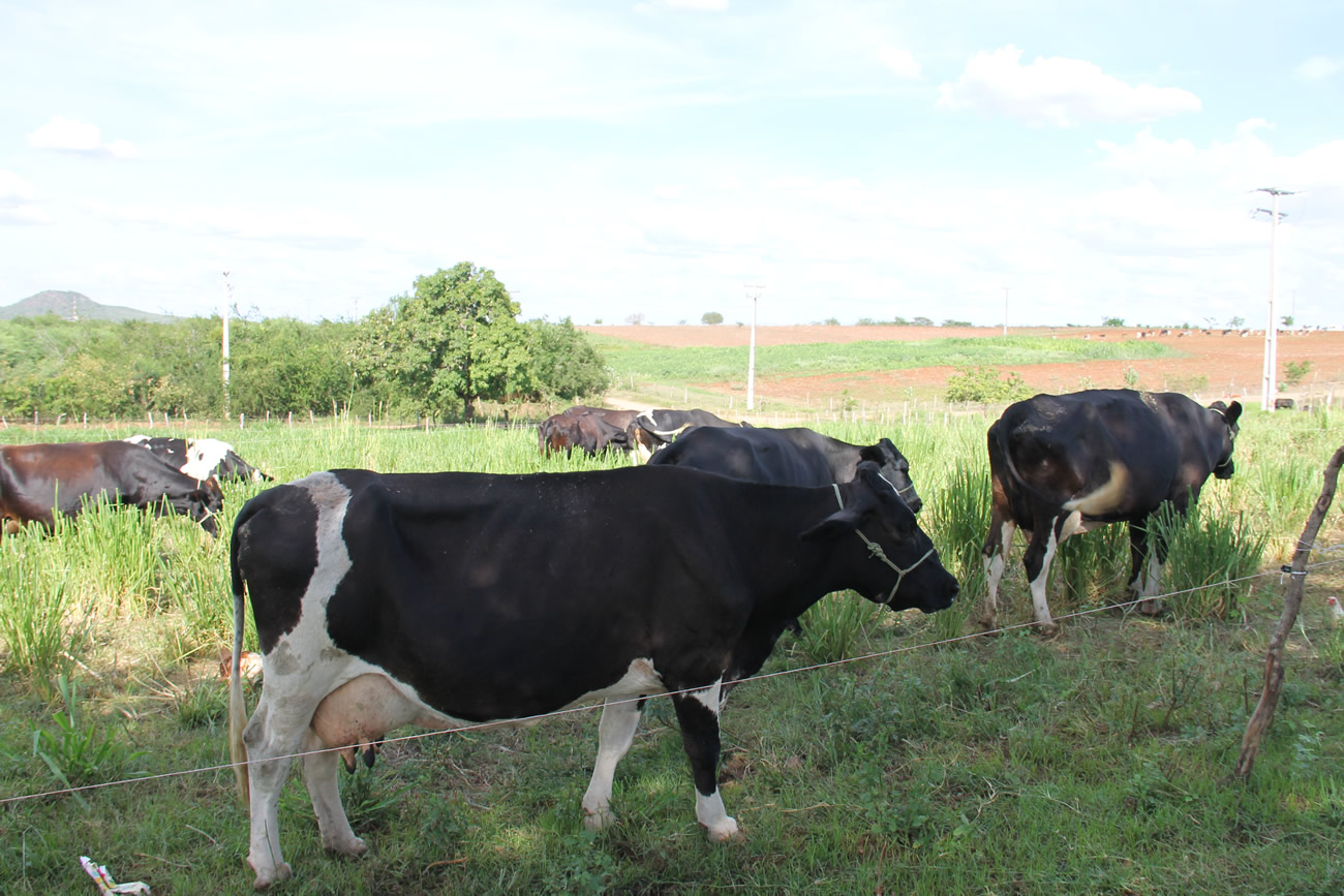 Balde Cheio é levado a Canindé pela Cohidro