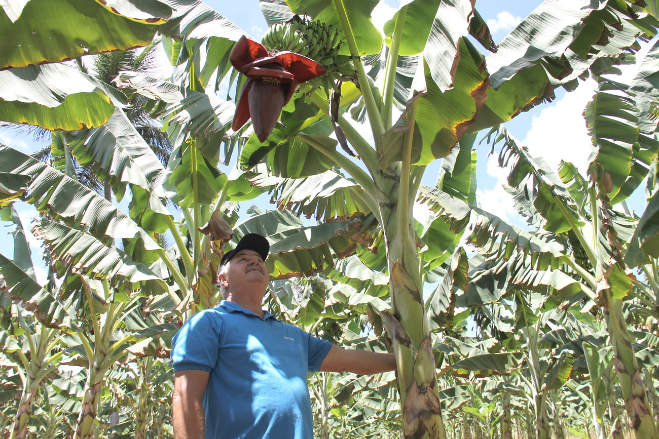 Irrigação pública contribui com a cesta básica mais barata em Aracaju
