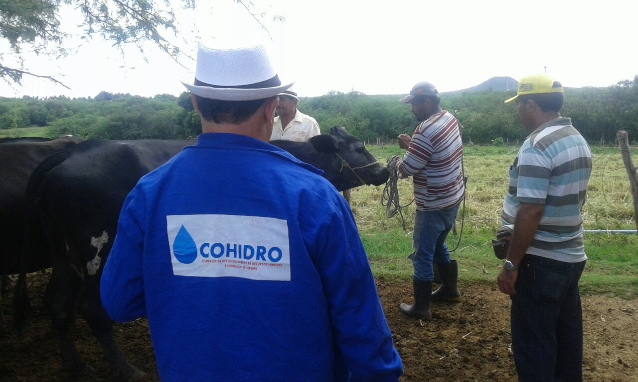Aula prática do Balde Cheio no perímetro Califórnia