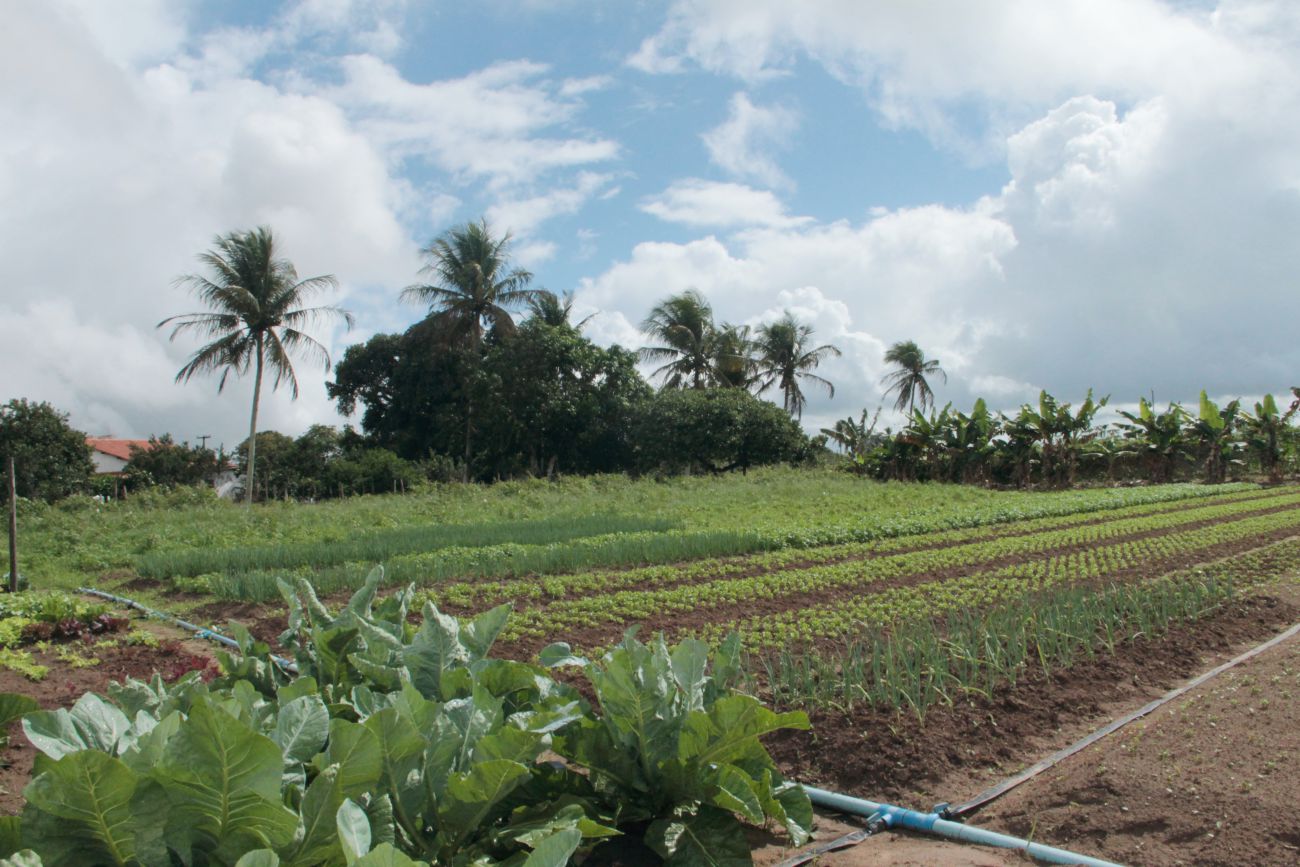 O Dia Mundial do Meio Ambiente e o papel da Cohidro