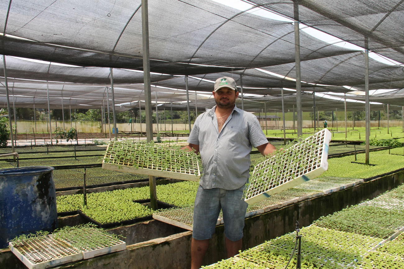 Irrigação pública cria oportunidades de negócio em Itabaiana