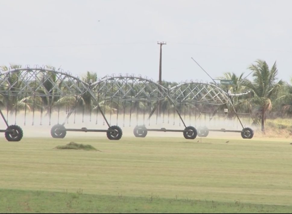 Sergipe Rural mostra o Platô de Neópolis