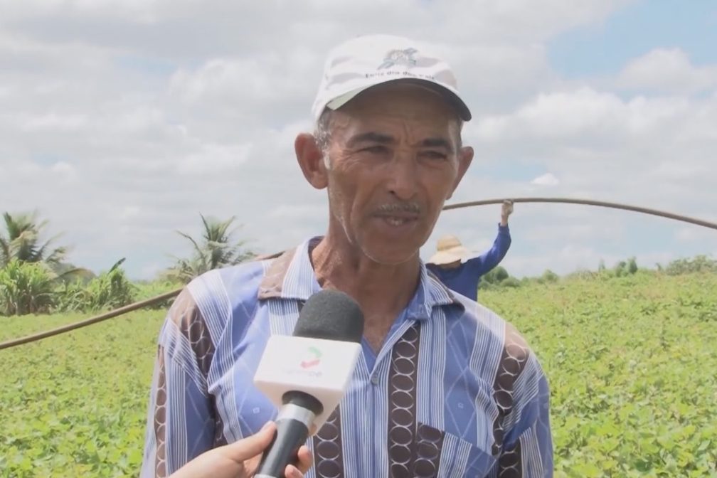 Batata-doce gera renda também no perímetro Jacarecica II