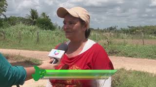 Sergipe Rural: Milho e amendoim para o São João estão garantidos no perímetro da Cohidro em Lagarto
