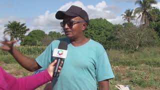 [vídeo] Irrigantes em Lagarto mostram a expectativa pela comercialização do amendoim