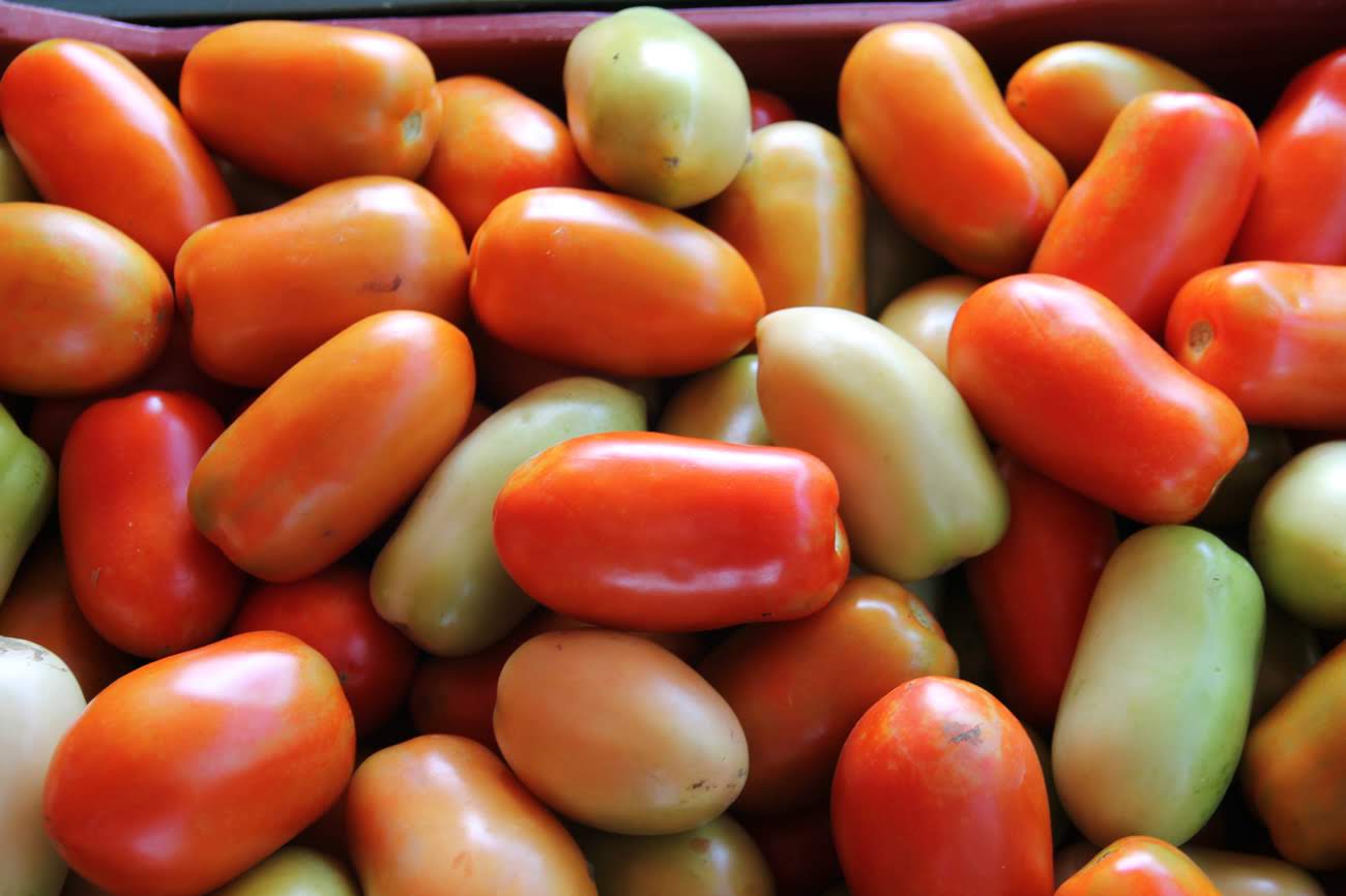 Produção de perímetros irrigados contribui para Aracaju ter cesta básica mais barata