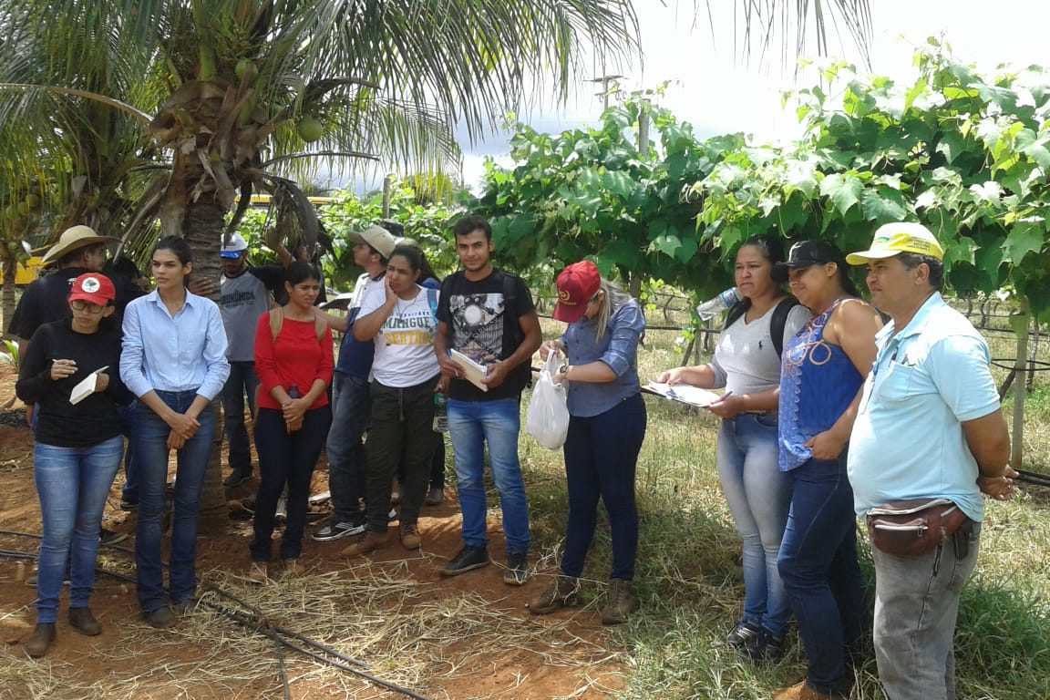 Estudantes de Agronomia do Campus Sertão da UFS visitam perímetro da Cohidro em Canindé