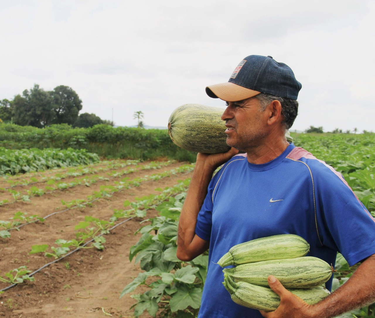 [vídeo] Irrigante dá lição de alta produtividade em pequeno espaço no Sergipe Rural