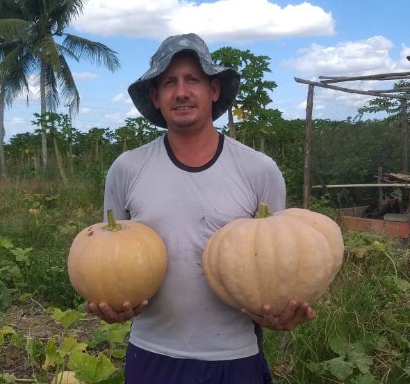 [vídeo] Nova no perímetro de Lagarto, abóbora tem destaque no Estação Agrícola