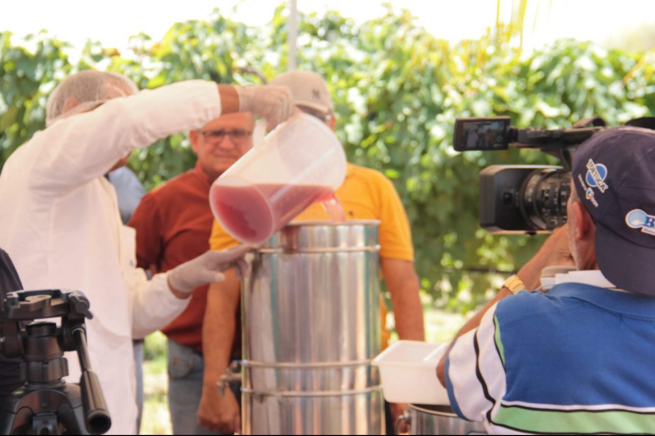 [vídeo] Dia de Campo sobre uvas e suco foi destaque no Sergipe rural