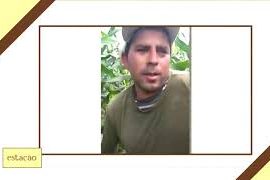 [vídeo] Estação Agrícola destaca milho verde irrigado no perímetro da Cohidro em Lagarto