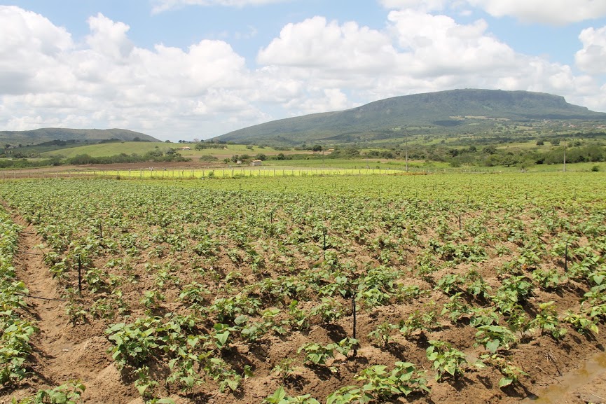 CEASA de Itabaiana irá ampliar escoamento da produção agrícola no Agreste gerando cerca de 600 postos de trabalho