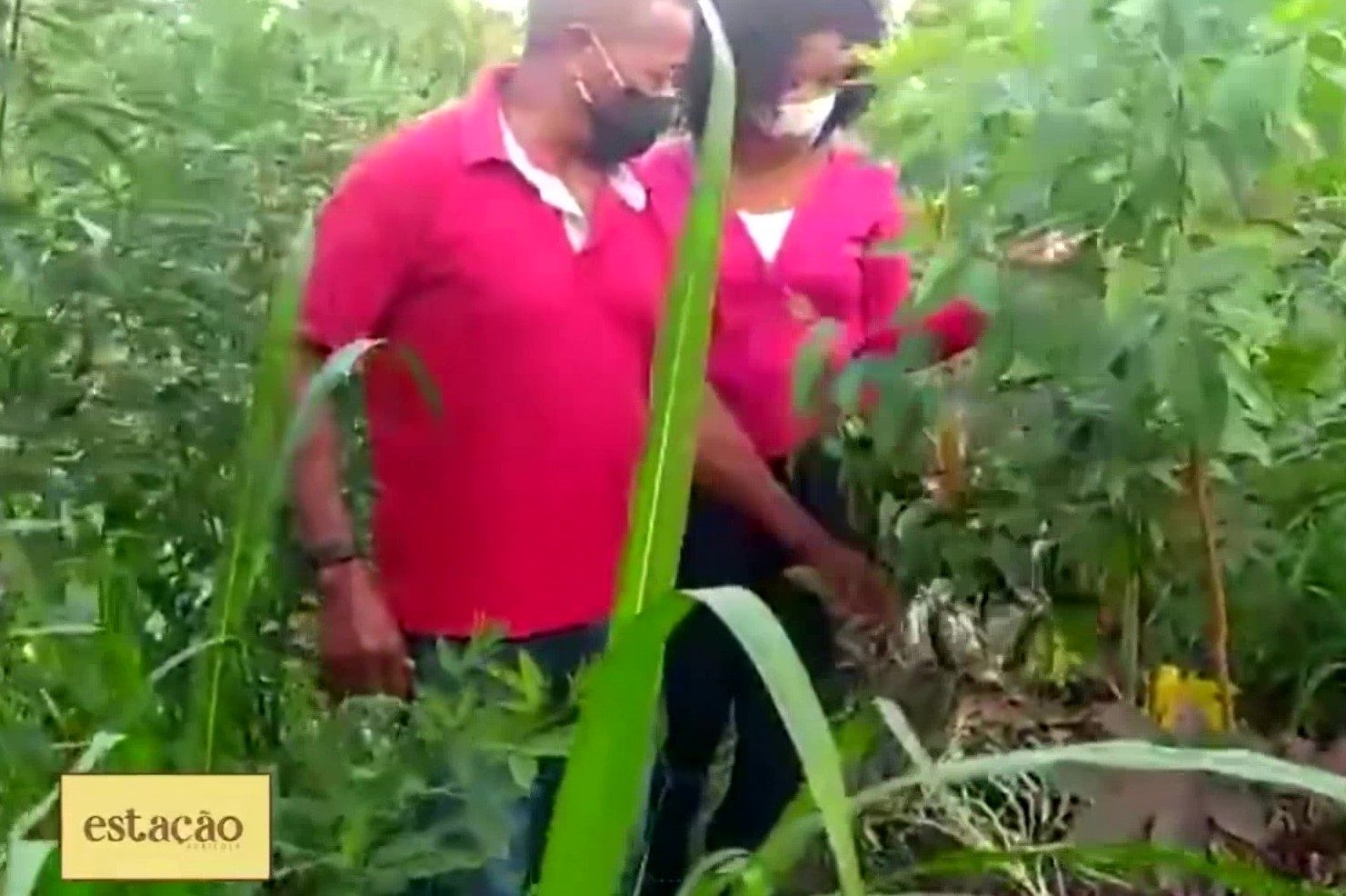 [vídeo] Especial do Dia dos Pais mostra relação em família assistida pela irrigação pública da Cohidro