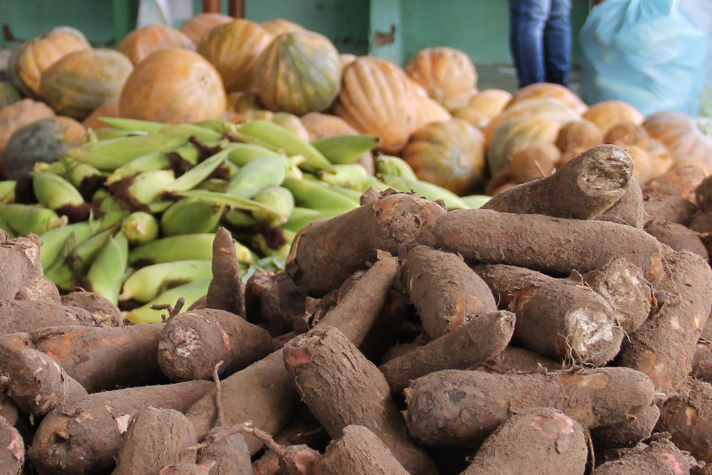 Agricultores irrigantes do Perímetro de Lagarto fornecem alimentos a famílias vulneráveis da Barra dos Coqueiros