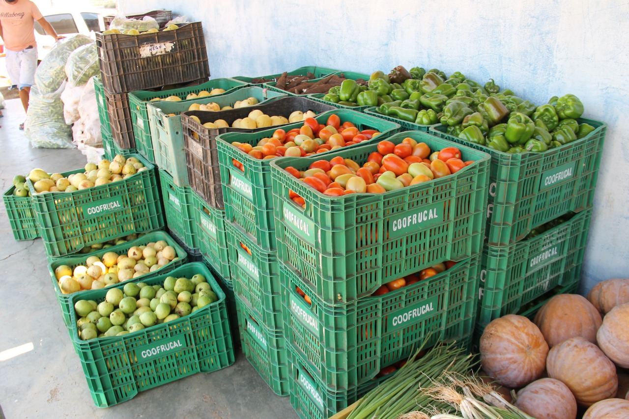 CANINDÉ | Agricultores irrigantes escoam produção a preço fixo para o Programa de Aquisição de Alimentos