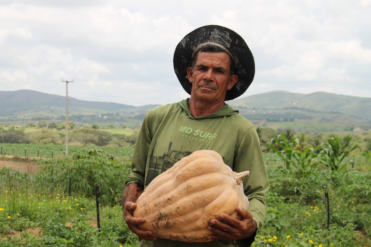 Produtor dá exemplo de manejo eficiente e lucrativo da terra na irrigação pública