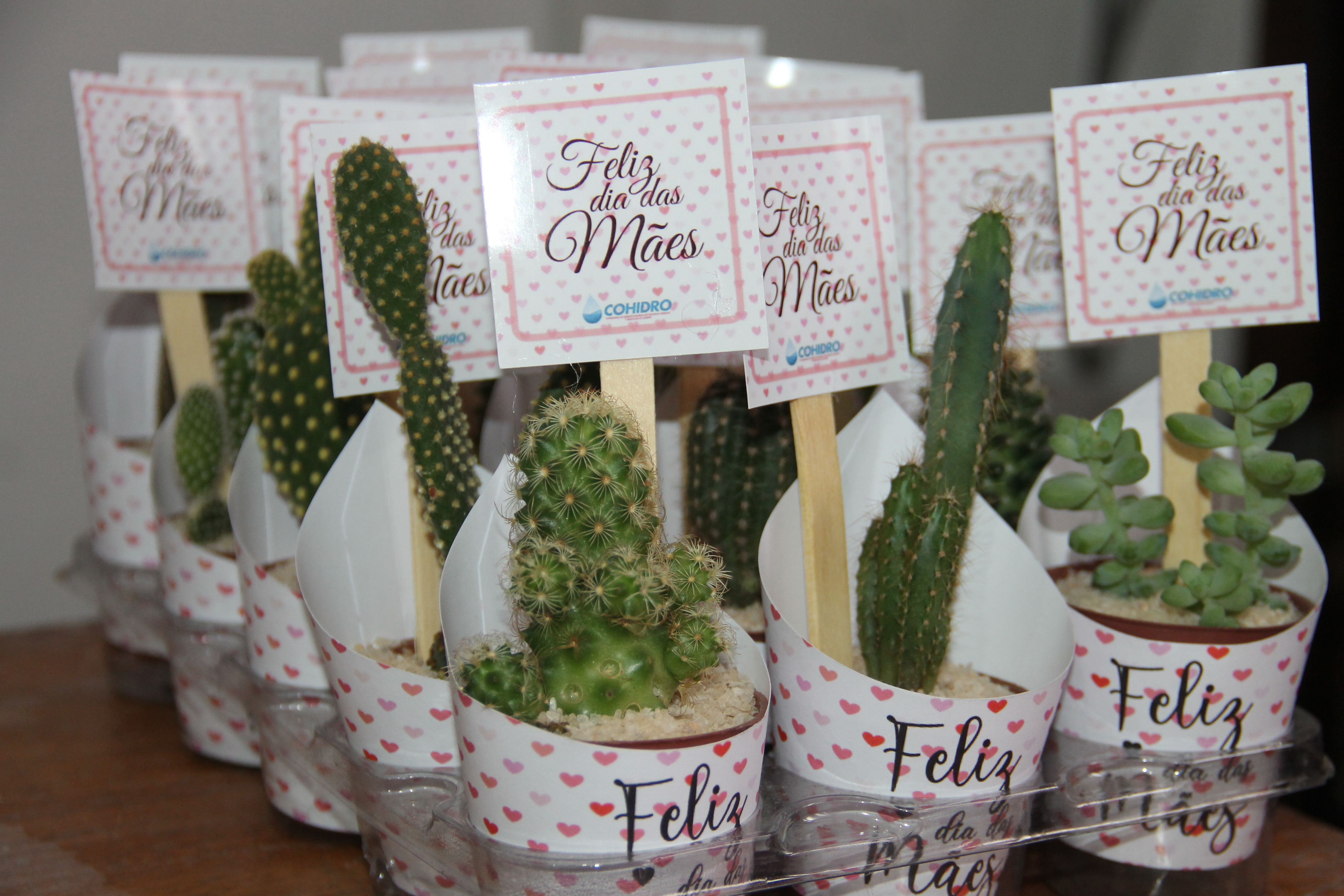 [fotos] Dia das Mães na Cohidro teve distribuição de lembrança no lugar de festa