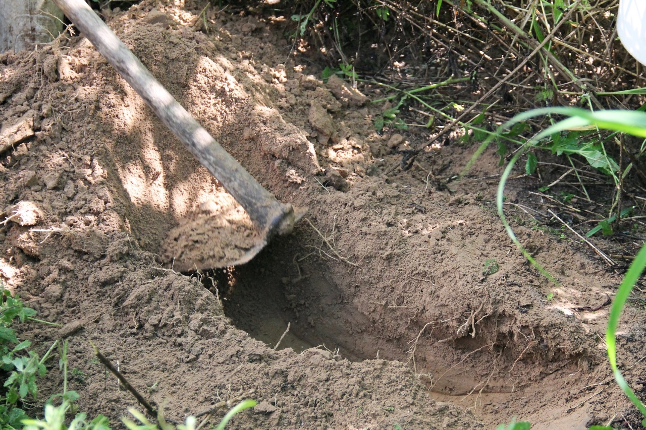 [vídeo] Cohidro ensina coleta de amostra para análise de solo