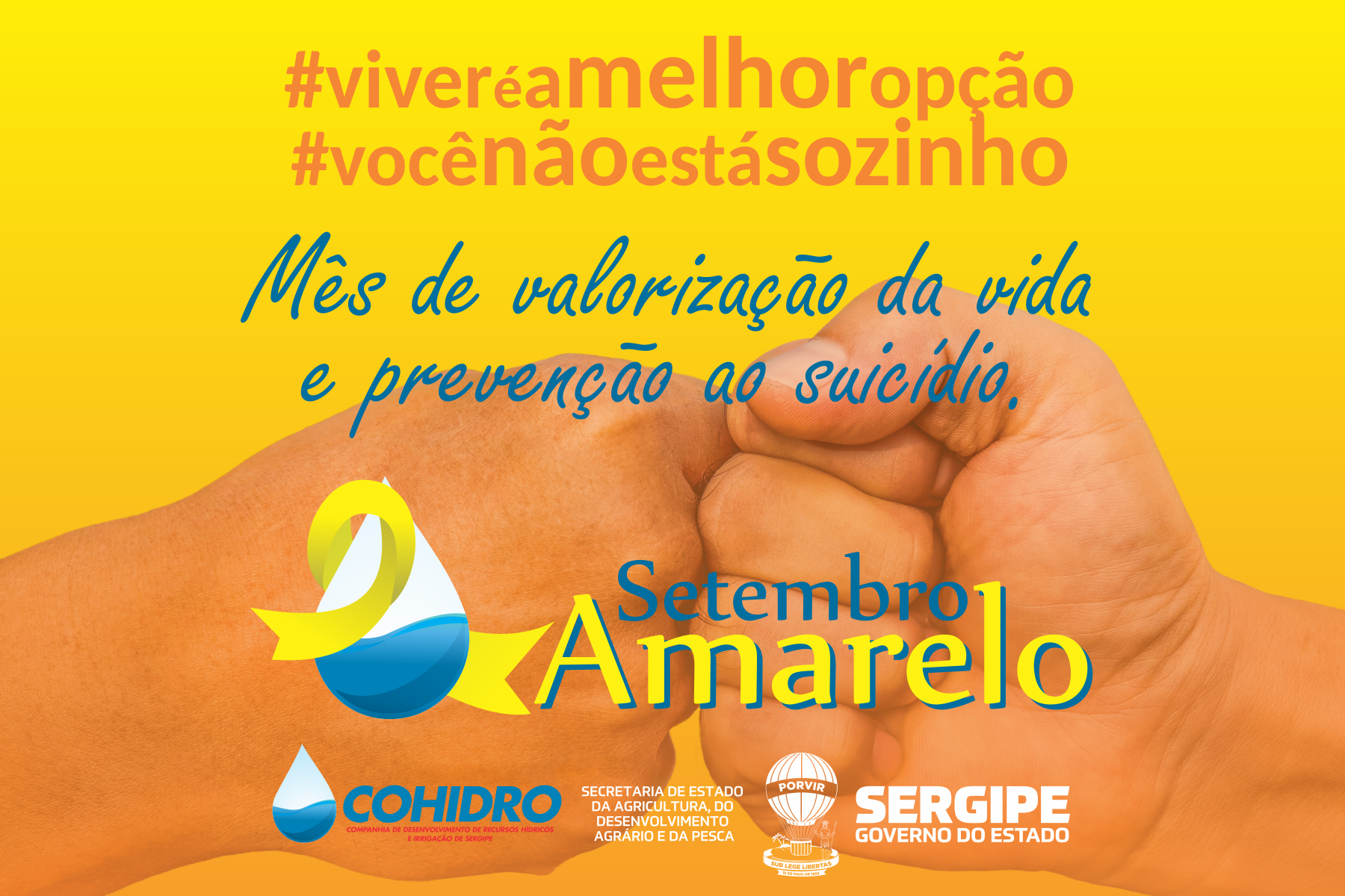 [galeria de fotos] Cohidro decora sede e distribui kits da campanha Setembro Amarelo