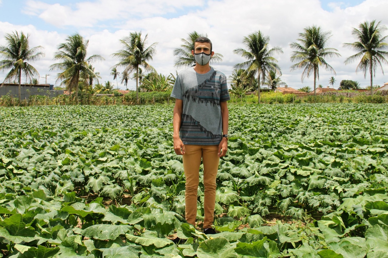 [vídeo] Irrigantes de Lagarto apostam na abóbora de olho no bom preço