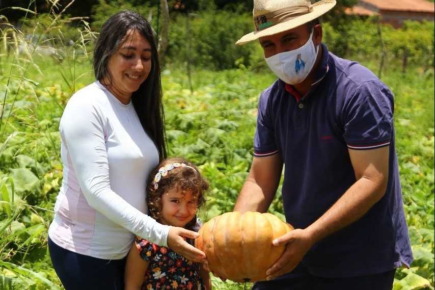 Alta do milho também impulsiona preço da abóbora irrigada produzida no Sertão Sergipano