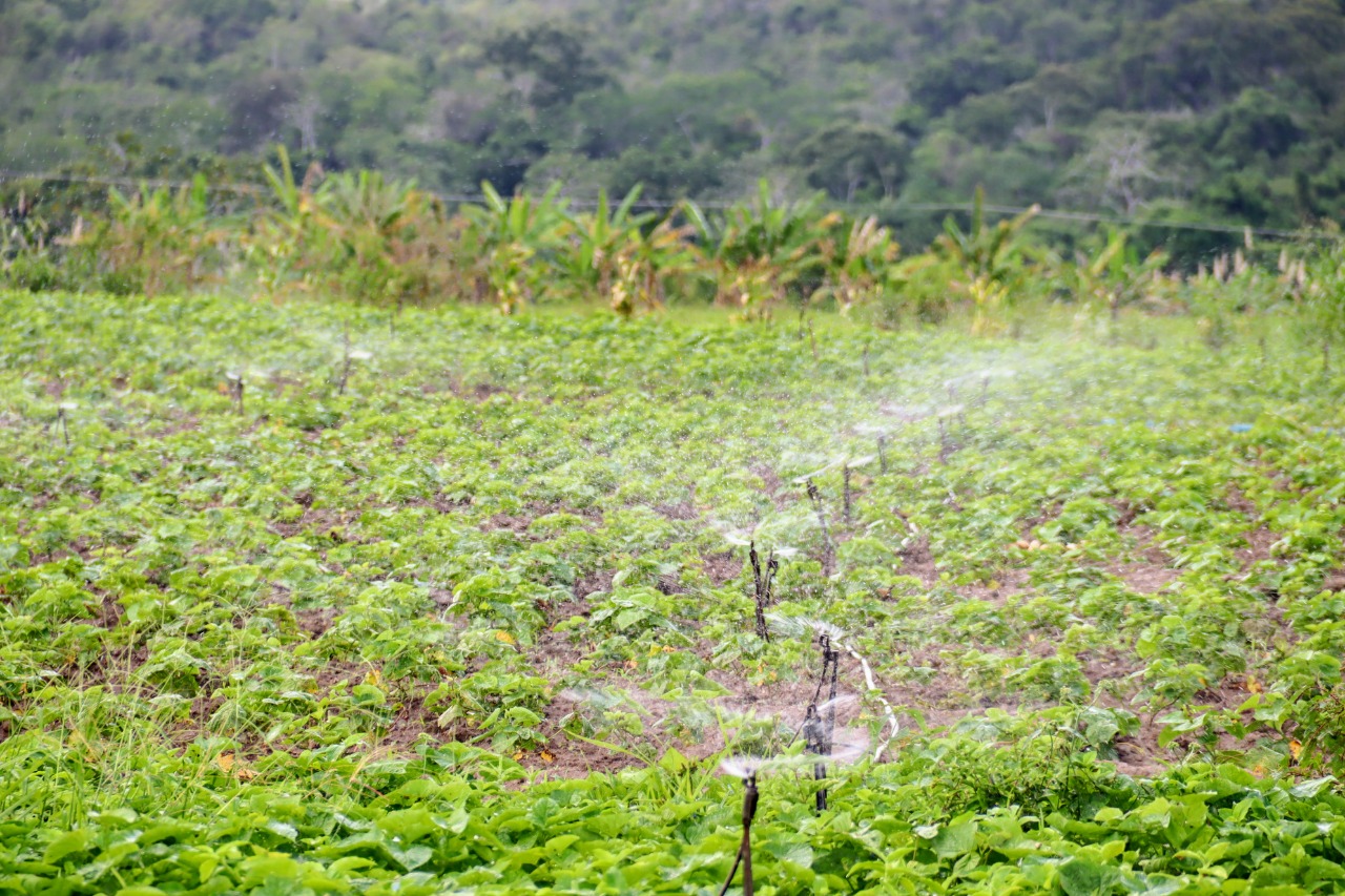 Dia Mundial da Água: Cohidro protagoniza investimento de R$ 17,5 milhões para ampliar acesso à água em Sergipe