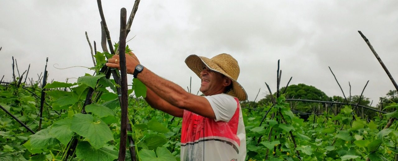 [vídeo] Barragens cheias animam produção irrigada em perímetros estaduais