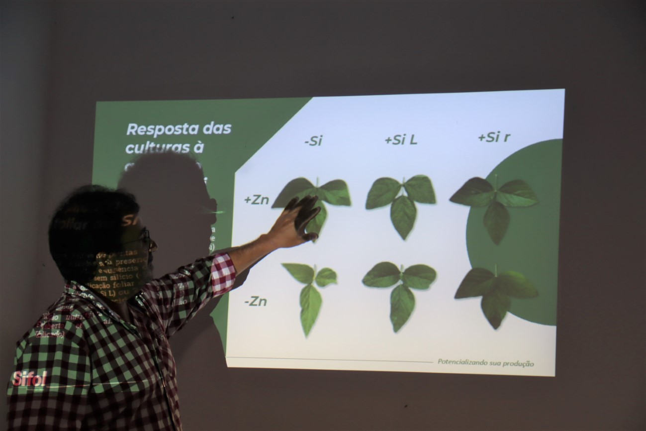 Cohidro e irrigantes de Itabaiana querem implantar campos experimentais de agricultura regenerativa para batata-doce