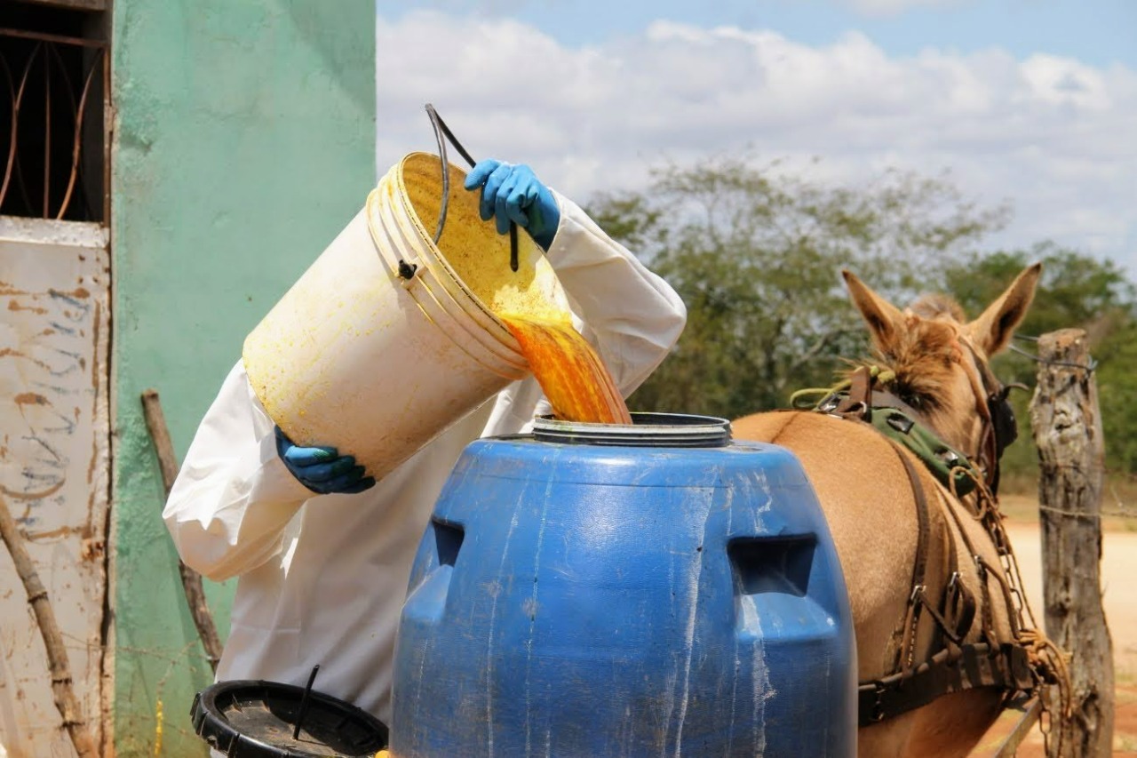 Aplicação de calda sulfocálcica inova tratamento de pomares em perímetro irrigado estadual