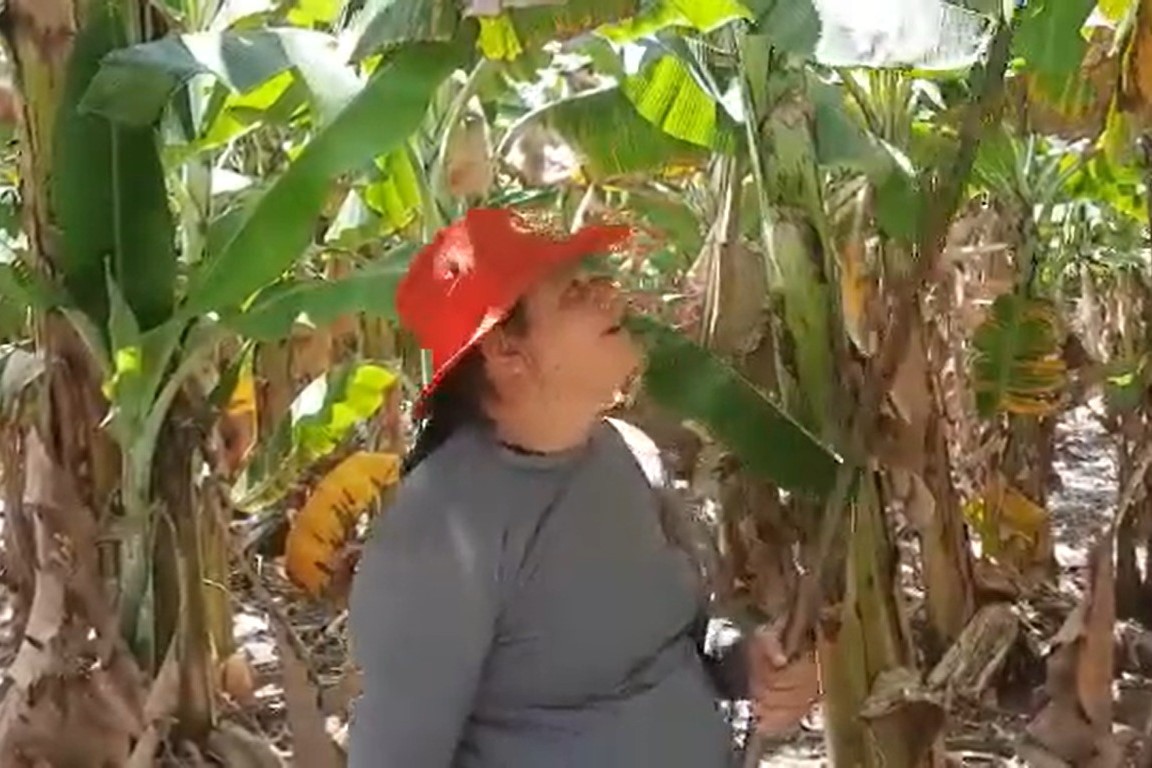 [Vídeo] Sergipanas incríveis, orgulho da gente – Maria da Piedade