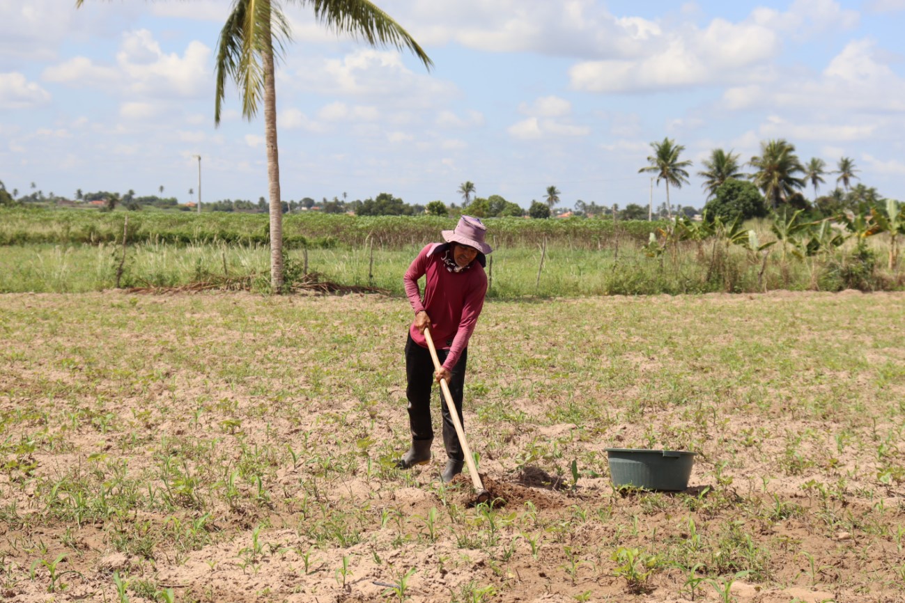 [vídeo] Coderse auxilia irrigantes do perímetro de Lagarto na interpretação das análises de solo